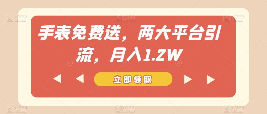 手表免费送，两大平台引流，月入1.2W【揭秘】-179创客网