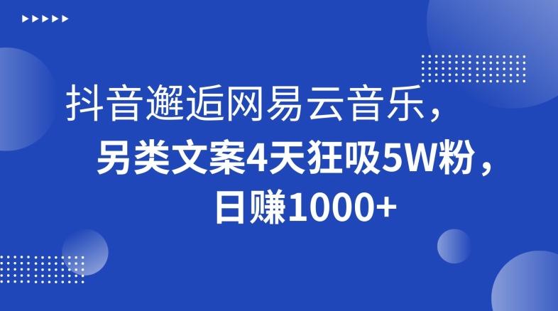 抖音邂逅网易云音乐，另类文案4天狂吸5W粉，日赚1000+【揭秘】-179创客网
