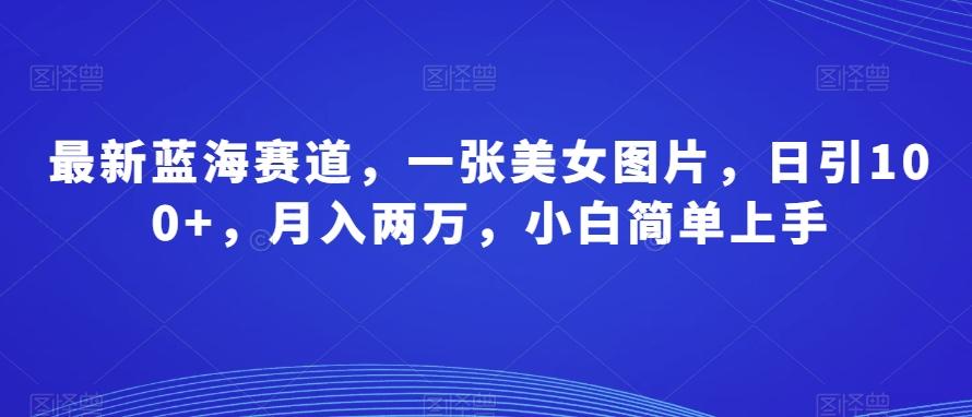 最新蓝海赛道，一张美女图片，日引100+，月入两万，小白简单上手-179创客网