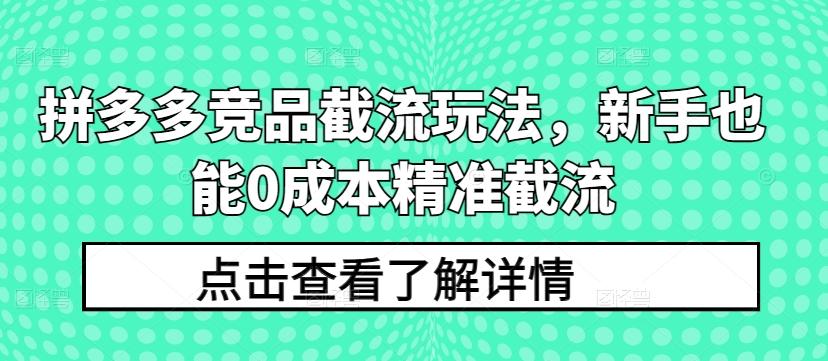 拼多多竞品截流玩法，新手也能0成本精准截流-179创客网