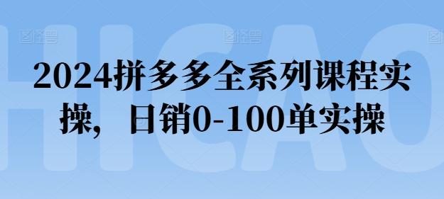 2024拼多多全系列课程实操，日销0-100单实操【必看】-179创客网