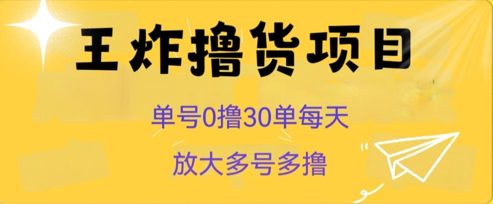 王炸撸货项目，单号0撸30单每天，多号多撸【揭秘】-179创客网