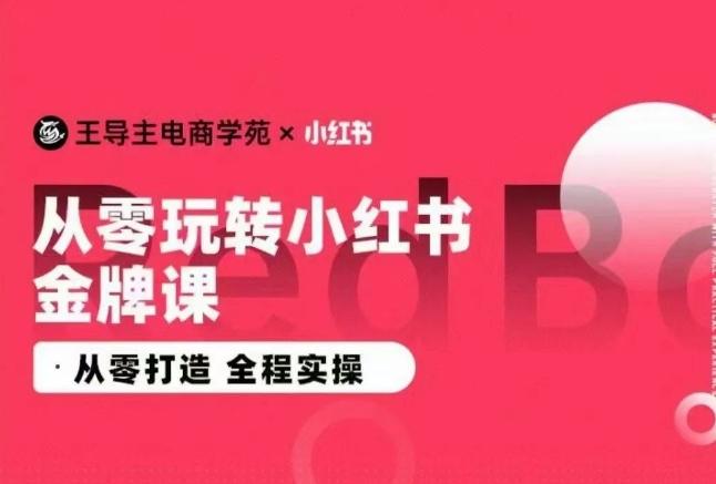 王导主·小红书电商运营实操课，​从零打造  全程实操-179创客网