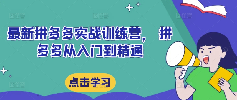 最新拼多多实战训练营， 拼多多从入门到精通-179创客网