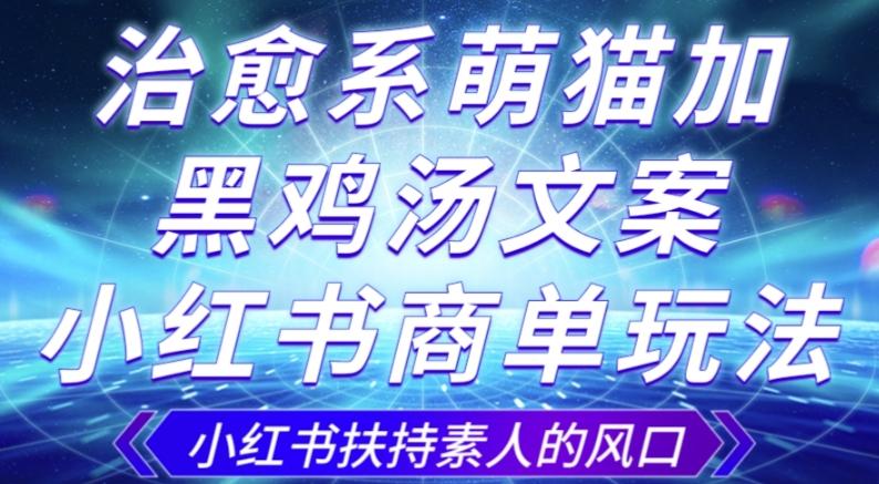 治愈系萌猫加+黑鸡汤文案，小红书商单玩法，3~10天涨到1000粉，一单200左右-179创客网
