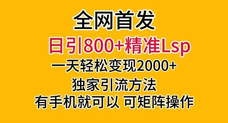 全网首发！日引800+精准老色批，一天变现2000+，独家引流方法，可矩阵操作【揭秘】-网创资源