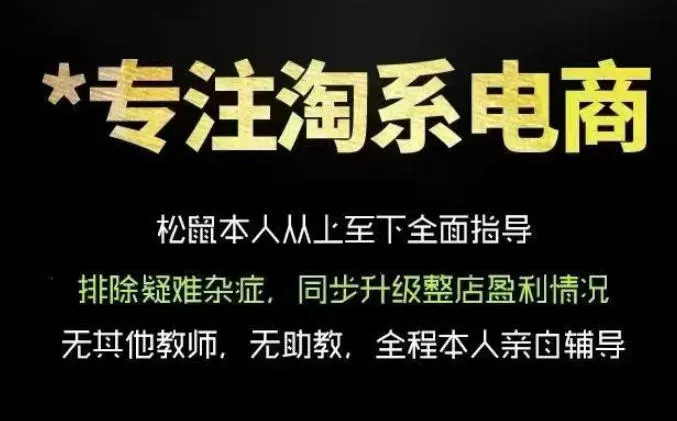 松鼠会电商VIP课程，从基础布局到高阶优化，助你掌握淘宝运营逻辑，提升店铺流量与转化(更新0815)-179创客网