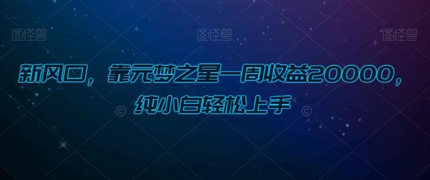 新风口，靠元梦之星一周收益20000，纯小白轻松上手-179创客网