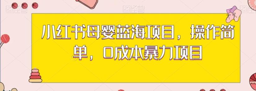 小红书母婴蓝海项目，操作简单，0成本暴力项目-179创客网