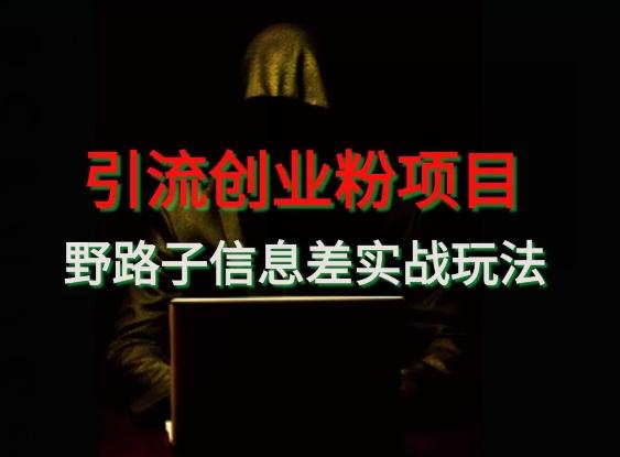 【引流创业粉】野路子信息差玩法实战教学-网创资源