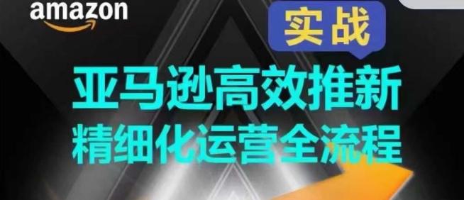 亚马逊高效推新精细化运营全流程，全方位、快速拉升产品排名和销量!-179创客网