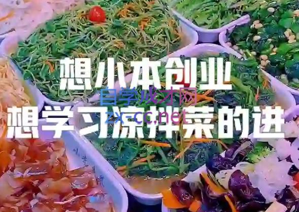 李记·精品凉拌菜系列热卤系列教程-网创资源