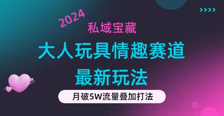 私域宝藏：大人玩具情趣赛道合规新玩法，零投入，私域超高流量成单率高-179创客网