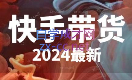 快手带货(2024最新)-179创客网