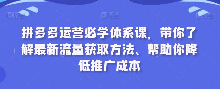 拼多多运营必学体系课，带你了解最新流量获取方法、帮助你降低推广成本-179创客网