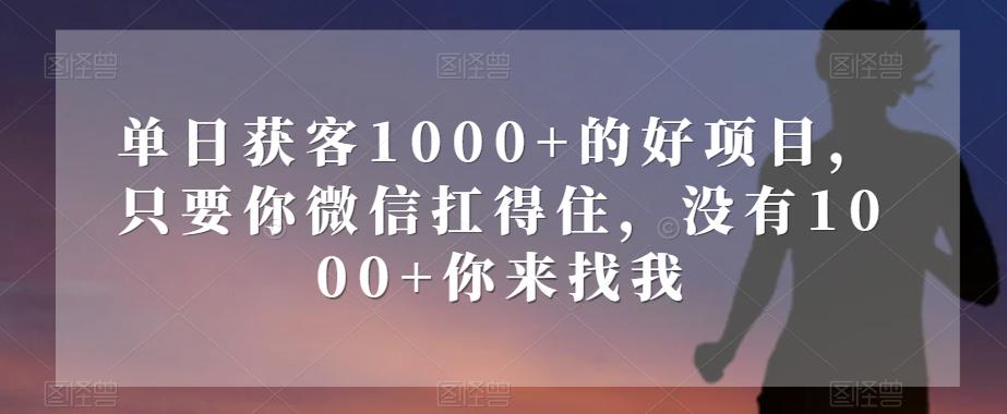 单日获客1000+的好项目，只要你微信扛得住，没有1000+你来找我【揭秘】-179创客网