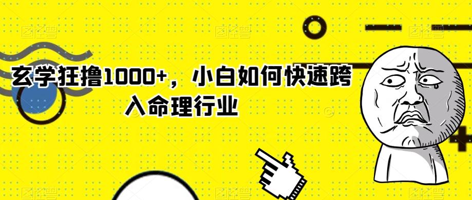 玄学狂撸1000+，小白如何快速跨入命理行业-179创客网