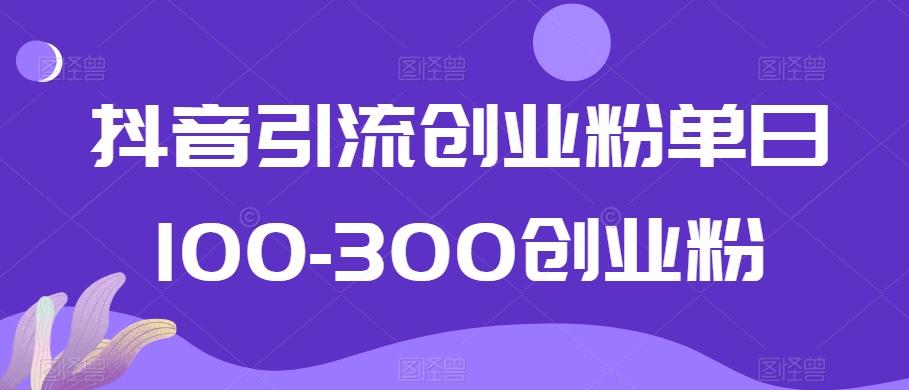 抖音引流创业粉单日100-300创业粉【揭秘】-网创资源