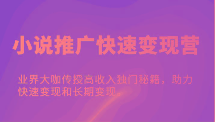 小说推广快速变现营-业界大咖传授高收入独门秘籍，助力快速变现和长期变现。-179创客网