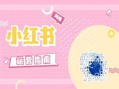 小红书运营指南，没有套路，全是经验-179创客网