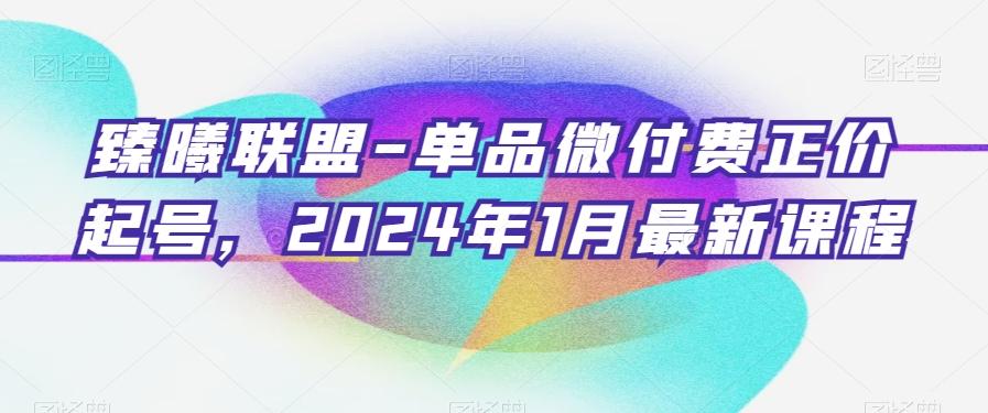 臻曦联盟-单品微付费正价起号，2024年1月最新课程-179创客网