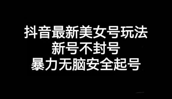 抖音最新美女号玩法，新号不封号，暴力无脑安全起号【揭秘】-179创客网