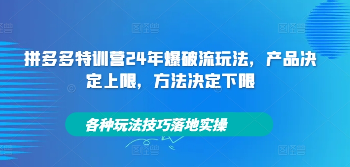 拼多多特训营24年爆破流玩法，产品决定上限，方法决定下限，各种玩法技巧落地实操-网创资源