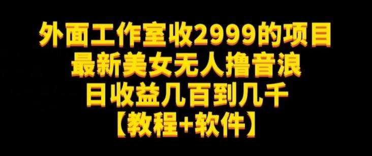外面工作室收2999的项目最新美女无人撸音浪日收益几百到几千【教程+软件】（仅揭秘）-179创客网