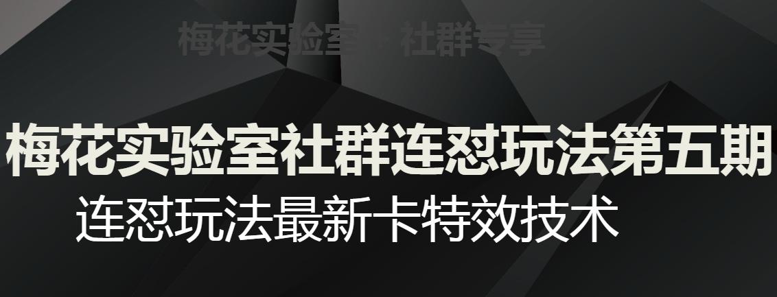 梅花实验室社群连怼玩法第五期，视频号连怼玩法最新卡特效技术-179创客网