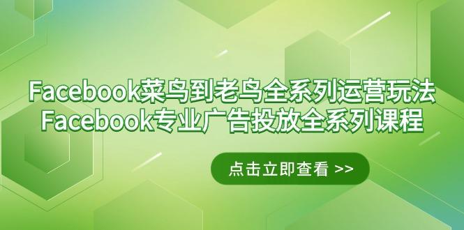 Facebook-菜鸟到老鸟全系列运营玩法+Facebook-专业广告投放全系列课程-179创客网