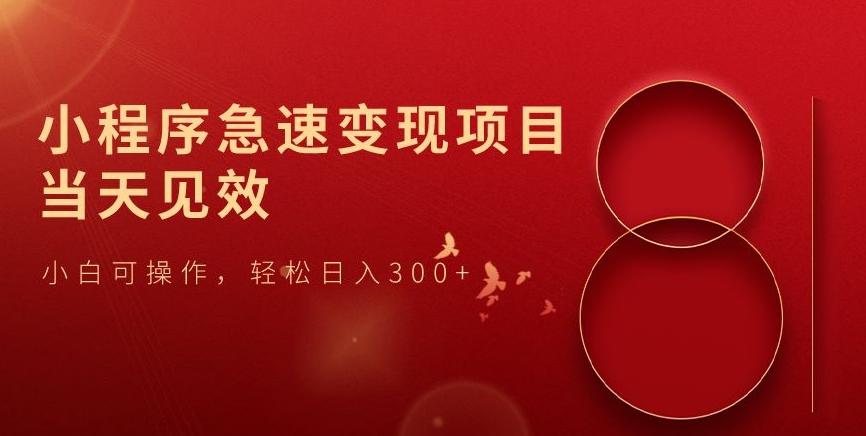 小程序急速变现项目，当天见效，小白可操作，轻松日入300+-179创客网
