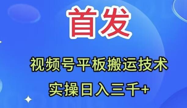 全网首发：视频号平板搬运技术，实操日入三千＋-179创客网