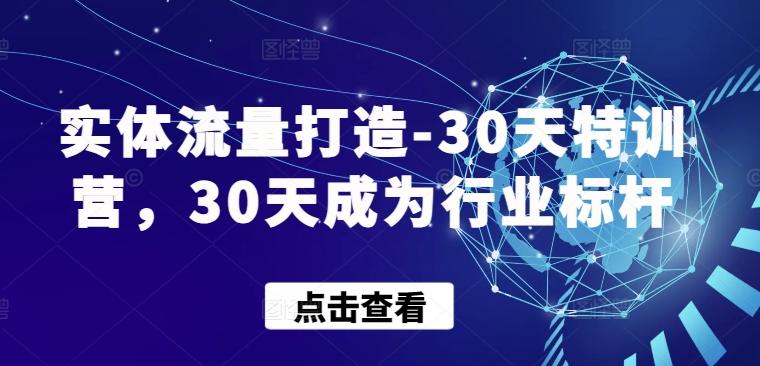 实体流量打造-30天特训营，30天成为行业标杆-179创客网