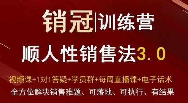 爆款！销冠训练营3.0之顺人性销售法，全方位解决销售难题、可落地、可执行、有结果-179创客网
