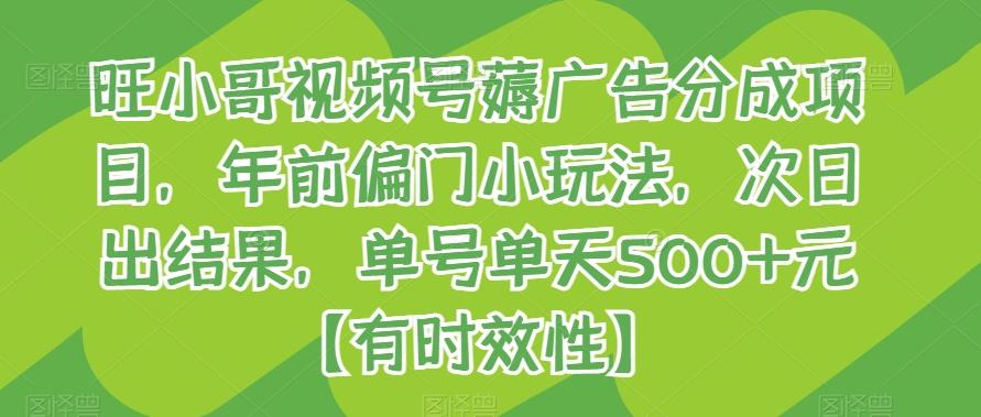 旺小哥视频号薅广告分成项目，年前偏门小玩法，次日出结果，单号单天500+元【有时效性】-179创客网