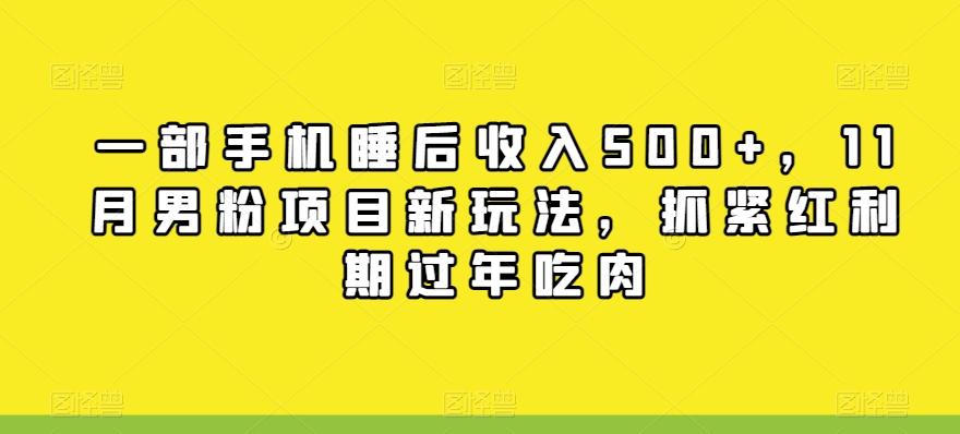 一部手机睡后收入500+，11月男粉项目新玩法，抓紧红利期过年吃肉-179创客网