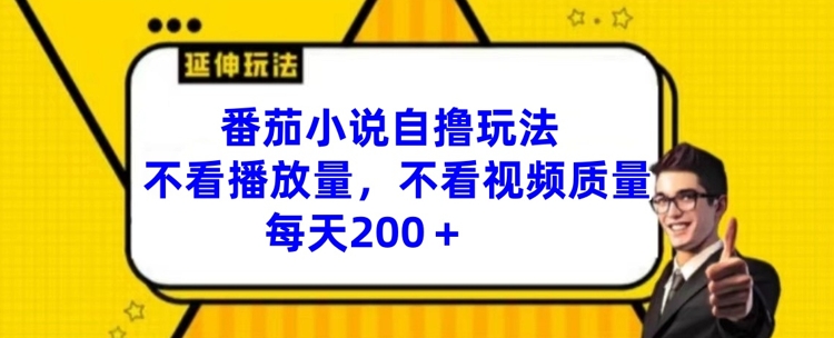 番茄小说自撸玩法，不看播放量，不看视频质量，每天200+【揭秘】-179创客网