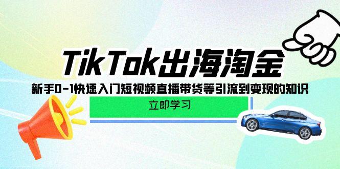 (10035期)TikTok-出海淘金，新手0-1快速入门短视频直播带货等引流到变现的知识-179创客网