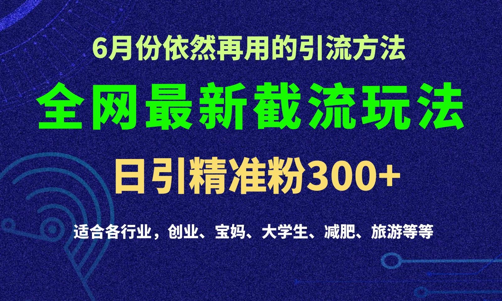 2024全网最新截留玩法，每日引流突破300+-179创客网
