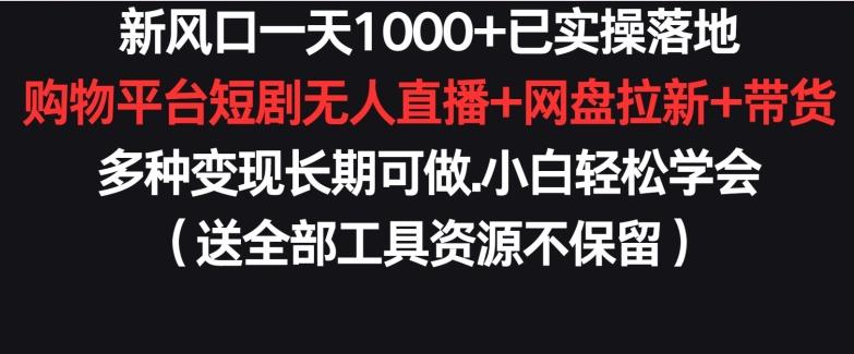 新风口一天1000+已实操落地购物平台短剧无人直播+网盘拉新+带货多种变现长期可做【揭秘】-179创客网