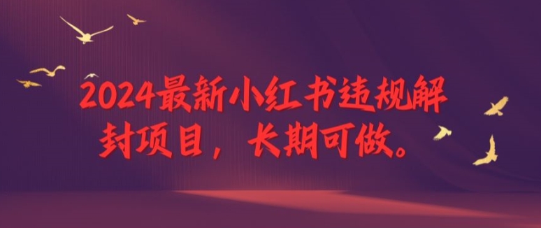 2024最新小红书违规解封项目，长期可做，一个可以做到退休的项目【揭秘】-179创客网