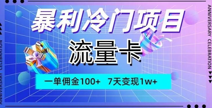 暴利冷门项目，流量卡，一单佣金100+，7天变现1w+-179创客网