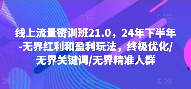 线上流量密训班21.0，24年下半年-无界红利和盈利玩法，终极优化/无界关键词/无界精准人群-179创客网