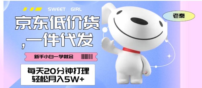 每天20分钟打理京东低价货，一件代发-轻松月入5W＋-179创客网