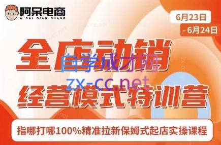 阿呆电商·全店动销经营模式特训营(线下录音+思维导图)-179创客网