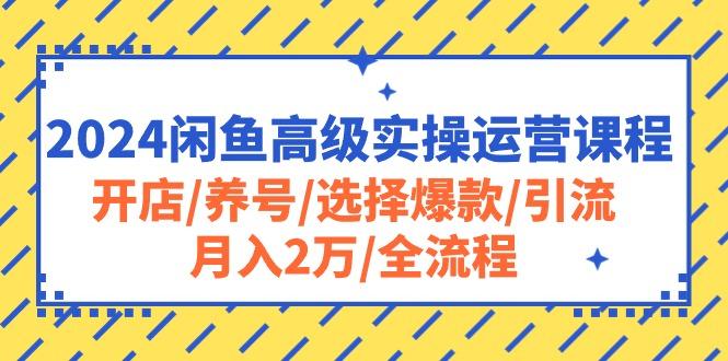 2024闲鱼高级实操运营课程：开店/养号/选择爆款/引流/月入2万/全流程-179创客网