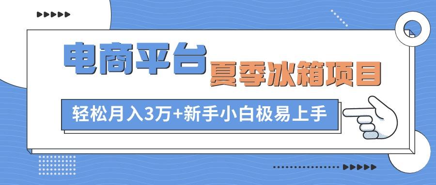 电商平台夏季冰箱项目，轻松月入3万+，新手小白极易上手-179创客网