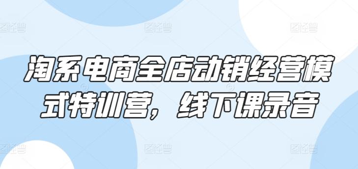 淘系电商全店动销经营模式特训营，线下课录音-179创客网
