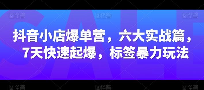 抖音小店爆单营，六大实战篇，7天快速起爆，标签暴力玩法-179创客网