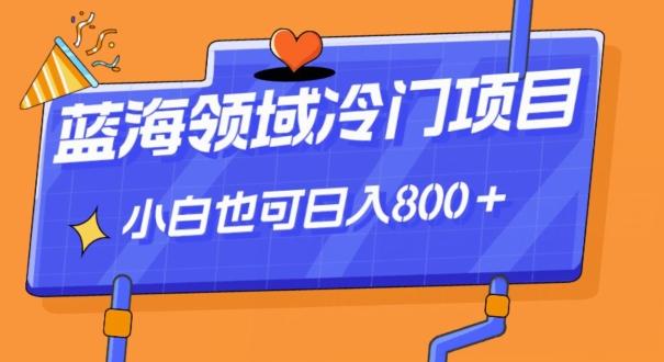 蓝海领域冷门赛道，一单39.9，日入800＋-179创客网